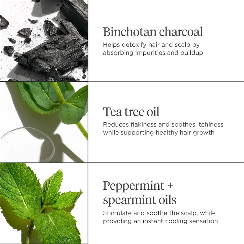 BRIOGEO Scalp Revival Charcoal + Tea Tree Cooling Hydration Mask for Dry and Itchy Scalp